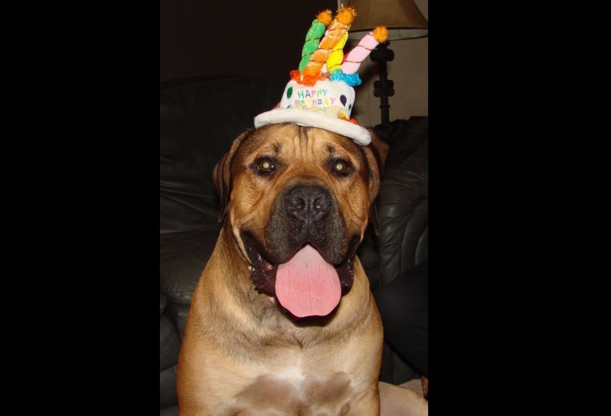 Rocko